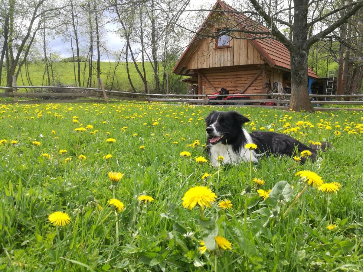 Holiday Home Holiday Raj Bešeňová Eksteriør billede